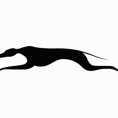 Greyhound